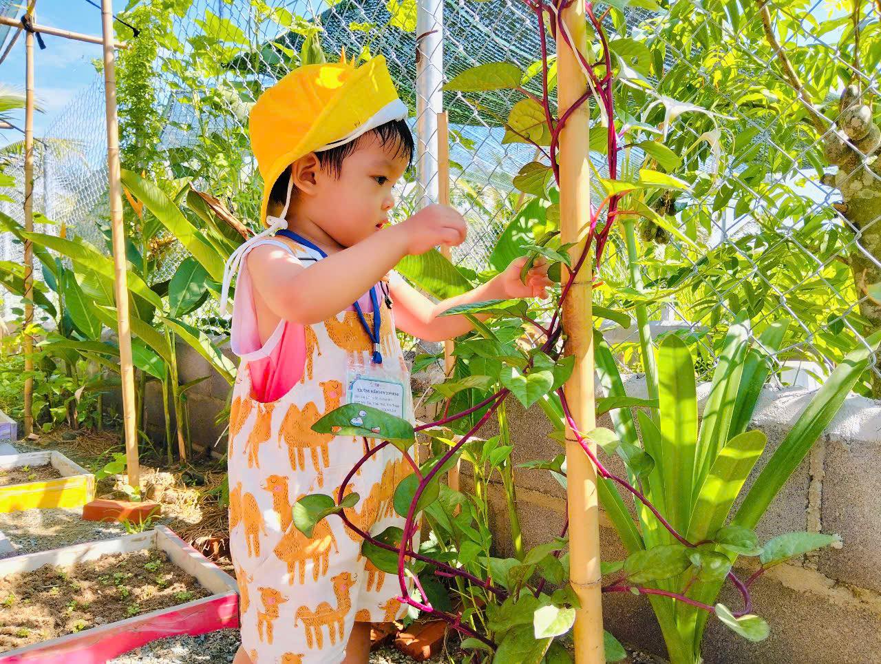 Vo Thi Sau class – toddler exploring nature in a garden